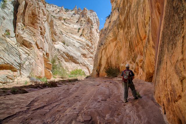 A person hikes on a trail that runs through a canyon with high cliff walls on either side. 