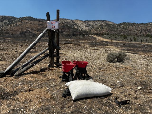 Suppression repair helps to minimize erosion, which can hinder regrowth and water absorption.
