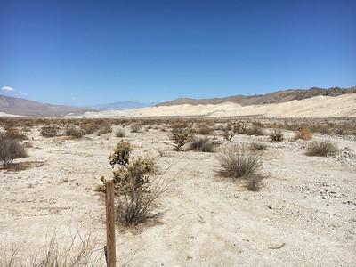 A white desert landscape with mountains in the background and a mining claim stake in the foreground.