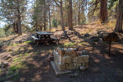 A picnic table and fire pit at a campground in a forest.