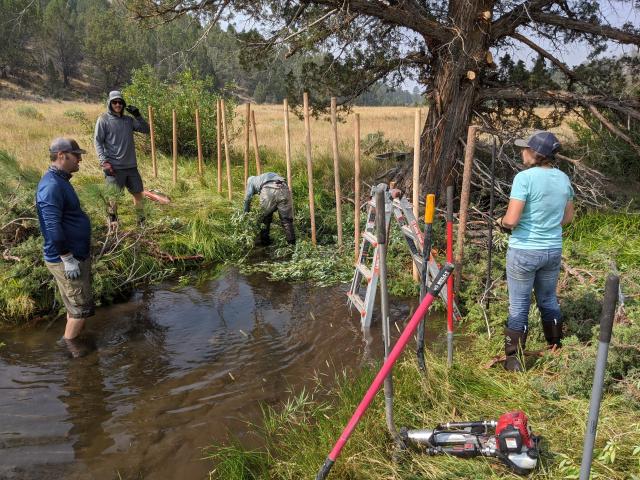 Installation of the first seven beaver dam analogues in 2020_Teaser