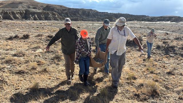 Touren, JP Cavigelli, and BLM WY paleontology staff haul the turtle off BLM land in Rock Springs, Wyo, on a sunny day.