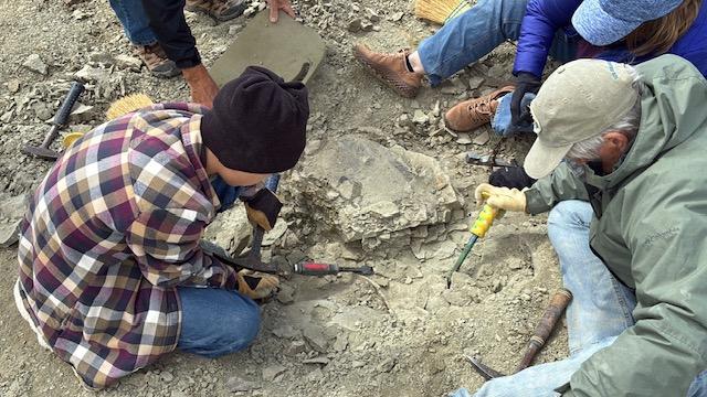 Touren and JP Cavigelli excavating the turtle overhead shot 