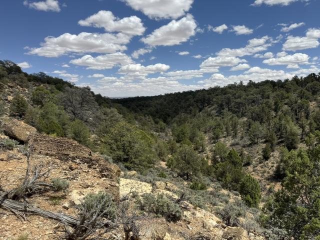 Rocky hillside covered with sparse shrubs and green trees under a bright blue sky dotted with fluffy white clouds.