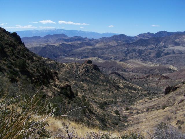 Expansive view of rugged desert mountains under a clear blue sky with sparse vegetation in the foreground.