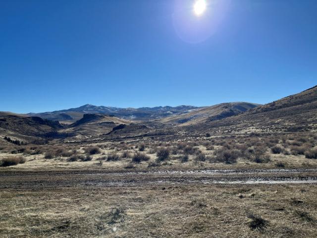 BLM lands in Owyhee County where junipers have been removed to allow the sagebrush to thrive, improving sage grouse habitat.