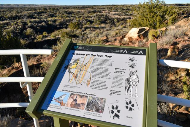 A new interpretive sign along the Valley of Fires Recreation Area’s Malpais Nature Trail.