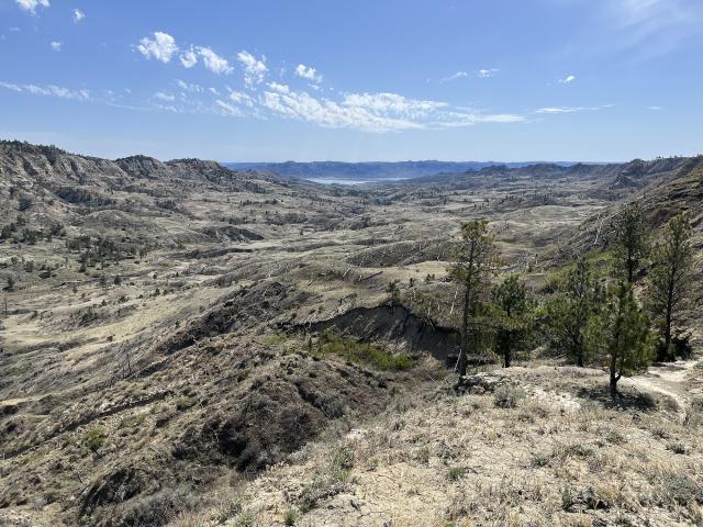 Expansive view of a rugged, dry landscape with sparse trees under a bright blue sky with scattered clouds. 