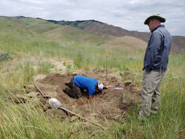 field work digging