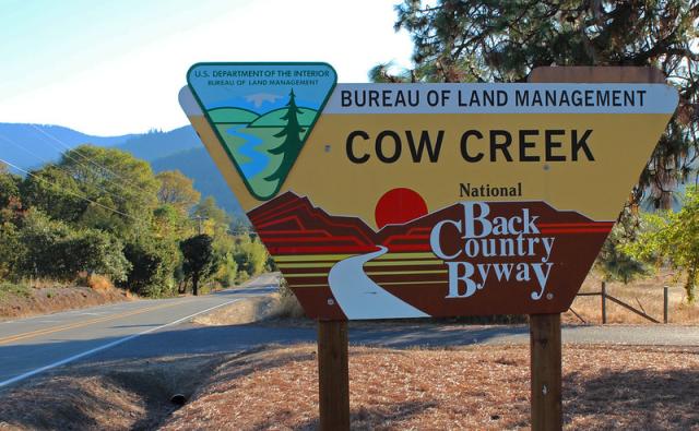 A triangular sign reading “Bureau of Land Management Cow Creek National Back Country Byway” sits in a grassy area near a two-lane road bordered by green trees, with tree-covered hills in the distance. The marker includes both the BLM and National Back Country Byway logos. 