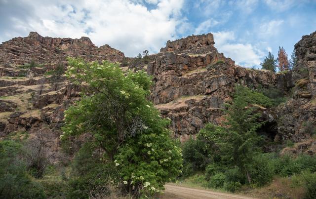 Craggy rock formations jut upward into a mixture of blue sky and billowy white and gray clouds. Green vegetation in the foreground is separated from the towering rocks by a gravel road.  