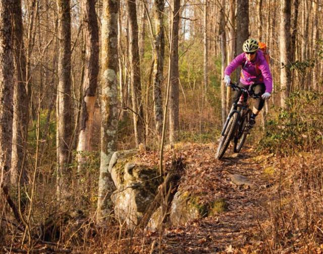 Mountain biker riding a bike on a wooded trail