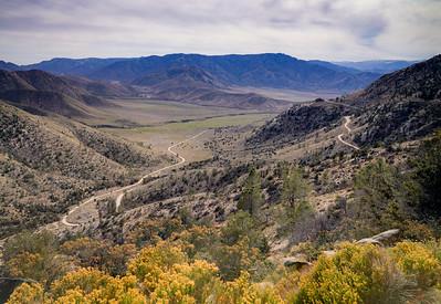 View of a dry valley with yellow flowers