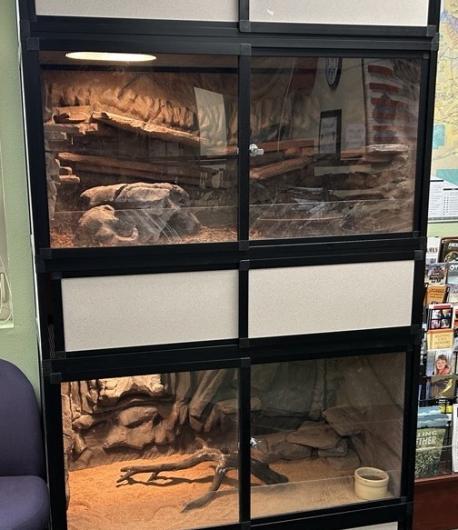 Reptile habitat cage used to house and transport reptiles. 