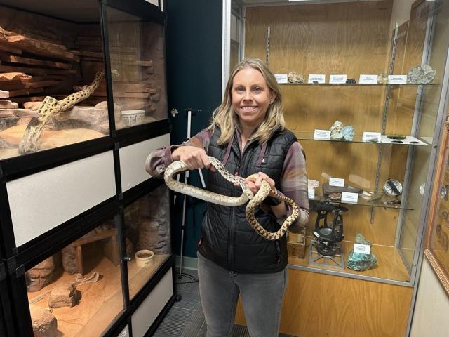 Local wildlife biologist holds gopher snake.