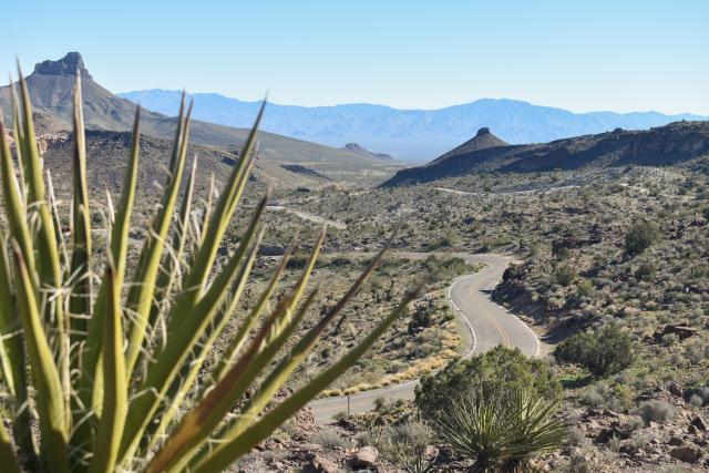 A desert road winds through a rugged mountain landscape, with sharp yucca leaves in the foreground and desert hills stretching into the distance under a clear blue sky.