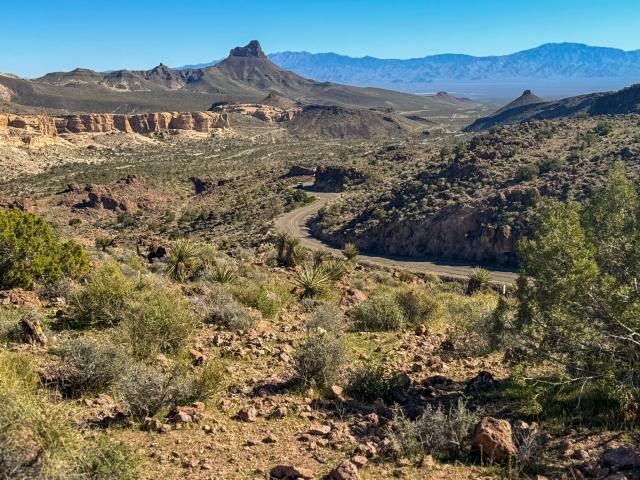 A winding road passes through a rocky desert canyon, with shrubs and yucca in the foreground and layered mountain ranges stretching across the horizon under a clear blue sky.