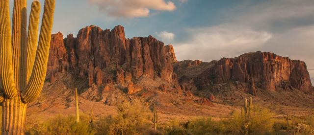 Tall saguaro cactus stands in the foreground of a rugged desert mountain range bathed in warm sunset light.