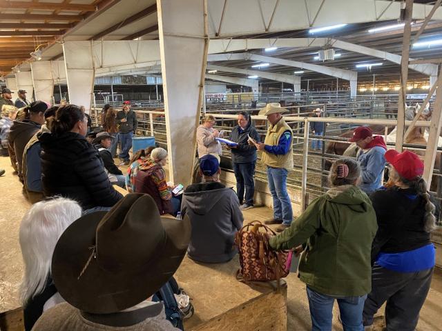 Eastern States Wild Horse and Burro Specialist Travis Tolbert conducts an auction of wild Mustangs. Photo by Matthew Silvey. 