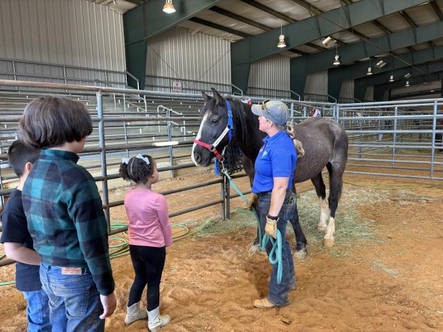 Megan Velasquez, WHB Compliance Specialist, stands with her mustang, Ink, while three children watch attentively inside the Prentiss County Agri Center in Booneville, MS.