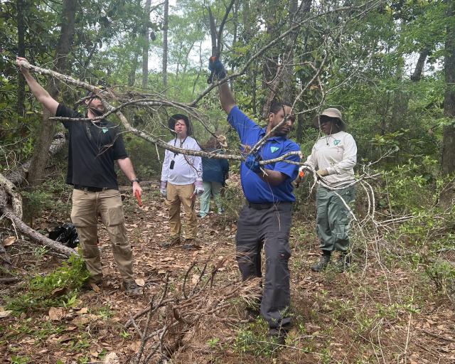 Working together, from left to right: Project Manager, Brandon Schurch; Planning and Environmental Specialist, Joe Edmonds; Realty Specialist William Harris and Geologist, Samirra Felix clear fallen limbs and improve access along the woodland trail.