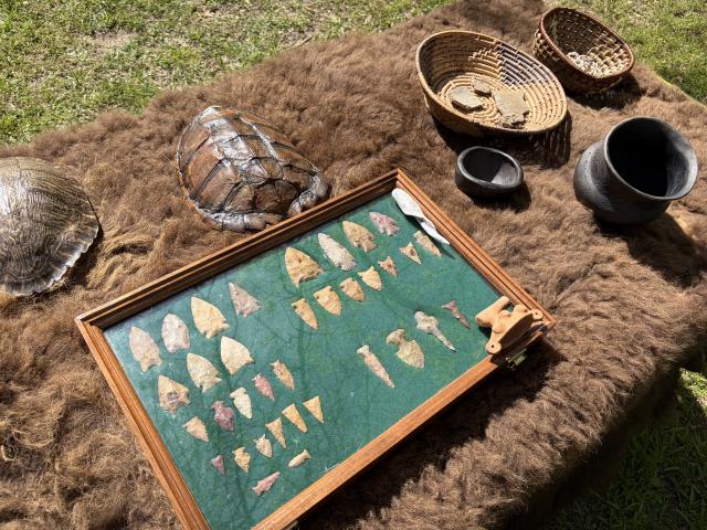 The BLM table shows a framed collection of points, turtle shells, woven baskets, and pottery pieces arranged on animal pelts during Environmental Day at Chautauqua Park on April 7, 2026.
