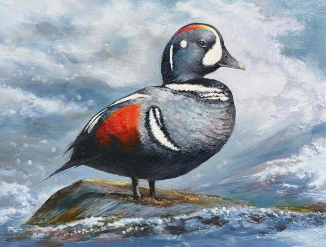 Etrid Wang, VA, 15, Harlequin Duck, Oil (Virginia winner, decided by Virginia JDSC judging panel)  