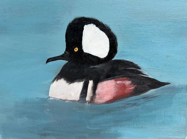 Robert Burris IV, DE, 14, Hooded Mersganser, Acrylic (Delaware winner, decided by Virginia JDSC judging panel)