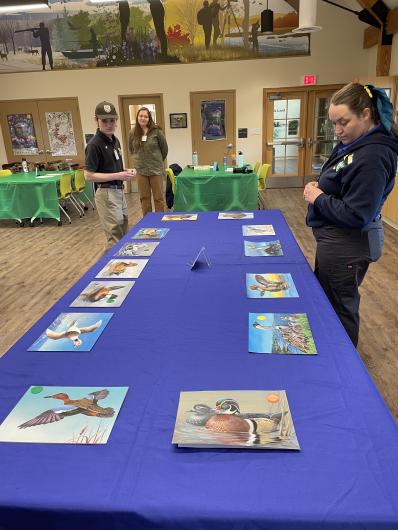 Judges reviewing entries within an age bracket and selecting winners&nbsp;&nbsp;
