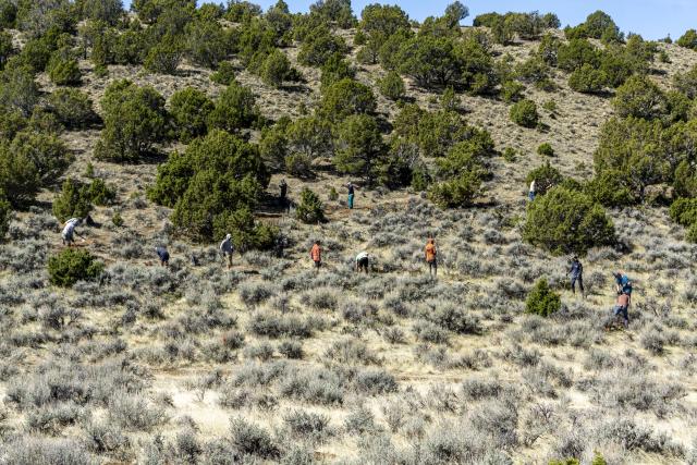 BLM-WY-BlogJBRLander