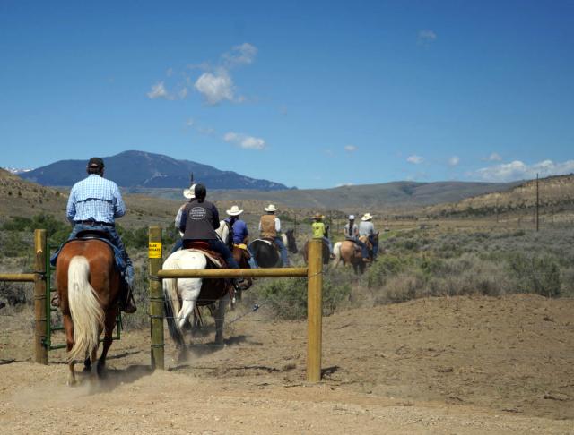 Horses riding off on a trail 