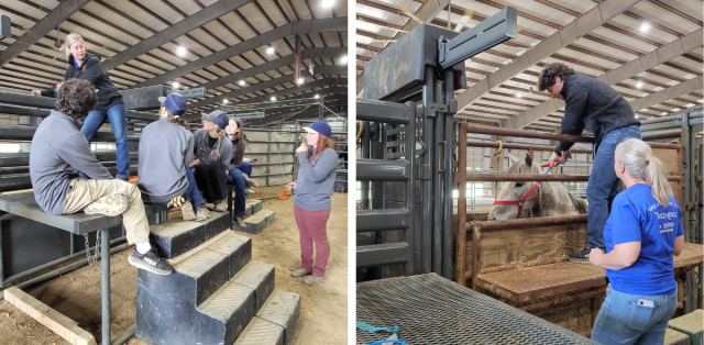 A group of Oregon State University students gathers inside the training arena, reviewing handling techniques and discussing the next steps in the chute‑side process with, Wild Horse and Burro Coordinator, Lindsay Rasmussen, leading the demonstration.