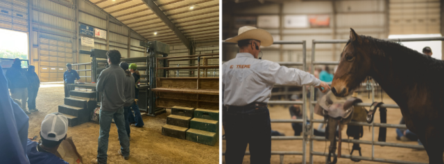 Image 3: Inside the arena, Oregon State University students listen to a presentation from, BLM Eastern States Director, Mitchell Leverette.   Image 4: Mustang Heritage Foundation trainer, Greg Reynolds, demonstrates calm, confident communication with a horse during a horsemanship session focused on trust and responsiveness. 