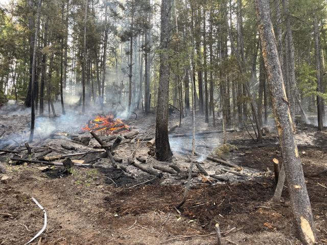 cleaning up a wildfire