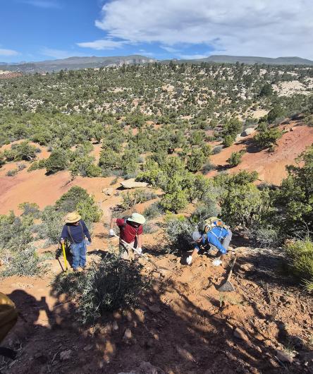 Three people hiking up a rocky, red dirt trail surrounded by desert vegetation and distant hills.
