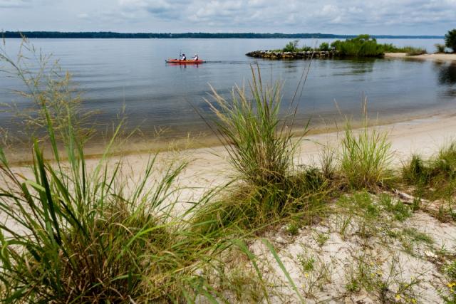 Two paddlers glide across the calm water along the sandy shoreline and tall coastal grasses of the Captain John Smith Chesapeake National Historic Trail.