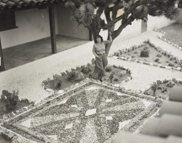 Rock Garden at Walking Box Ranch, Avi Kwa Ame National Monument.