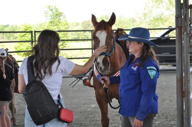 A person gently pets a brown horse wearing a patriotic red‑white‑and‑blue halter while another person in a blue uniform stands beside them holding the horse’s lead rope.