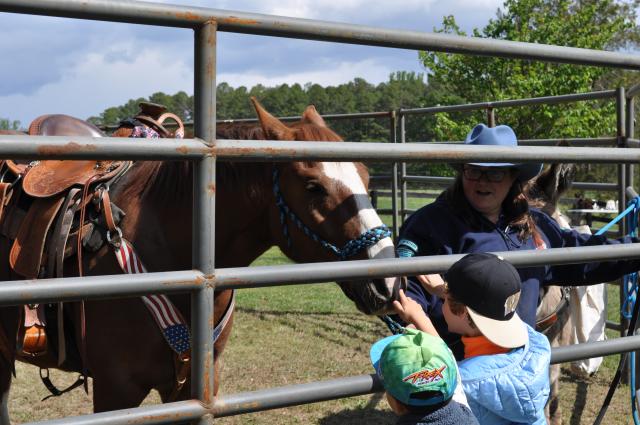Two children reach through a metal fence to touch a brown horse with a white face marking, while an adult in a blue hat stands beside the horse inside the enclosure.