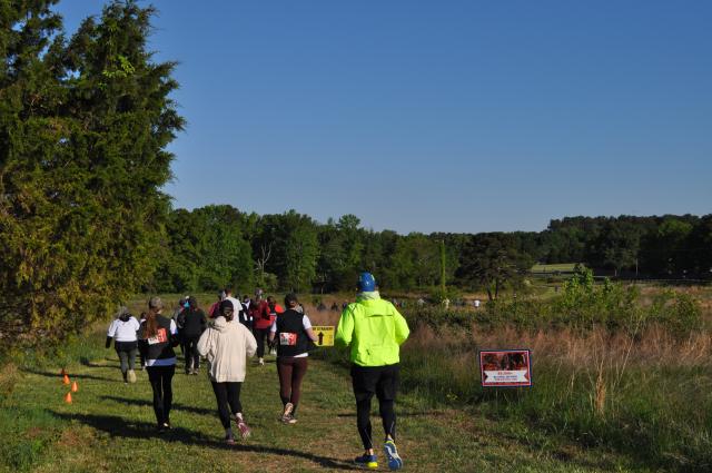 A group of runners moves along a grassy outdoor trail bordered by tall trees, following signs marked with directional arrows.