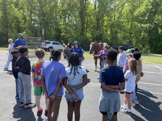 A group of children stands in a semicircle around two equine animals—one horse and one donkey—while adults introduce the animals in a sunny paved outdoor area next to a wooded backdrop.