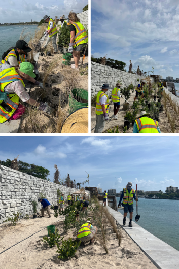 Volunteers in safety vests planting vegetation along a waterfront stone wall under a partly cloudy sky.