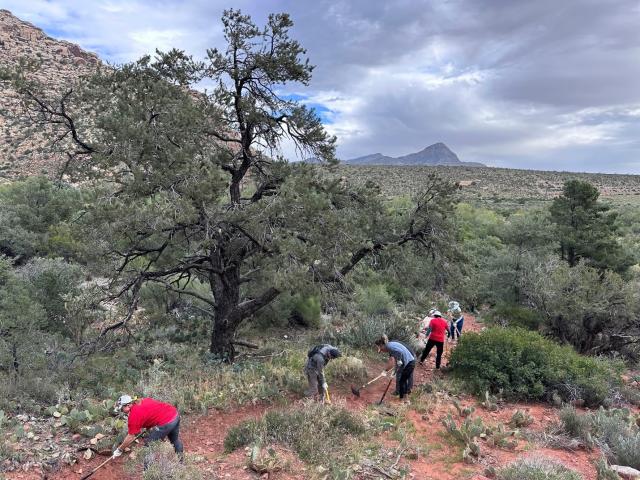 Volunteers work on a trail at Red Rock Canyon NCA.