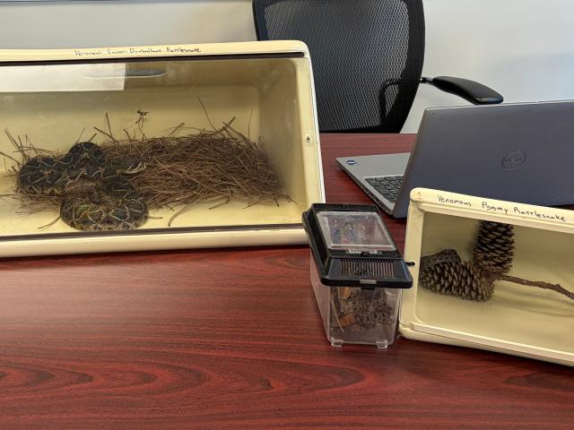 Wildlife training materials on display, including secured cases containing educational examples of local snakes used for safety instruction.