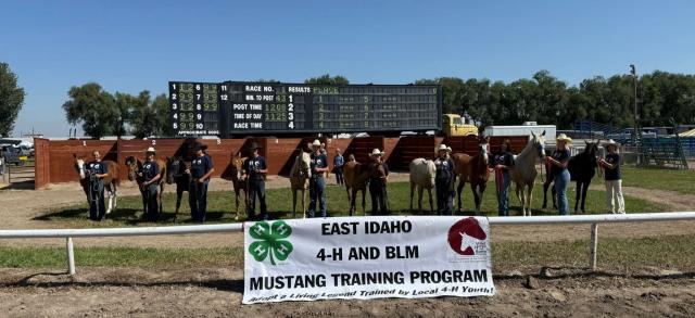 4-H members pose with their trained wild horse 
