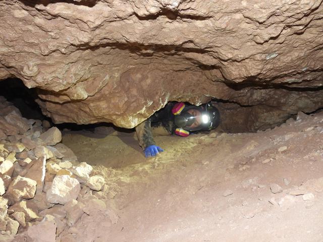 Bat Conservation International (BCI) surveying abandoned uranium mine for bat habitat. (Photo courtesy of BCI)