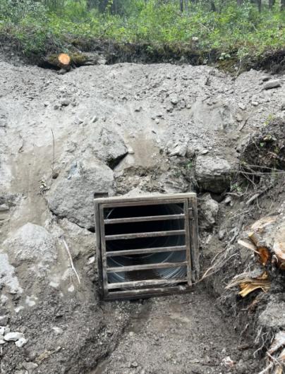 Metal culvert with a barred grate installed in a dirt embankment in a forested area.