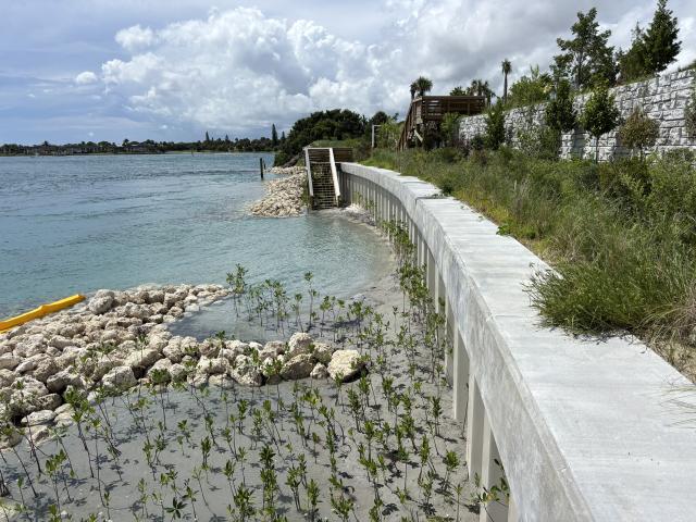 Additional mangrove planting completed behind a breakwater with MANG foundation 