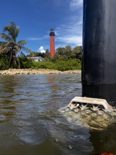 The first experimental reef structure is installed in the loxahatchee river side of the property. These tiles are designed by Reef Arches™ and are the first of many experimental artificial reef structures to be installed on the property. 