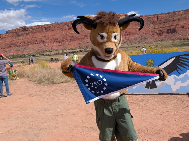 a white and tan pronghorn antelope mascot holds a blue, triangular flat with white numerals "250" encircled by a ring of white stars